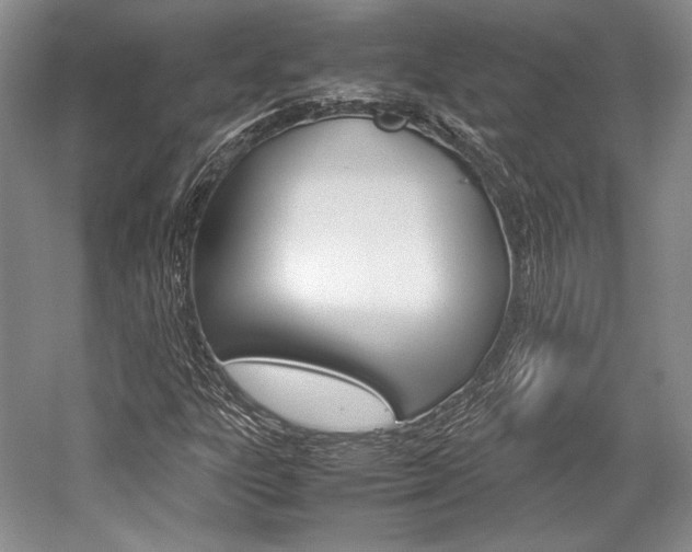 X0000057041303200509090806