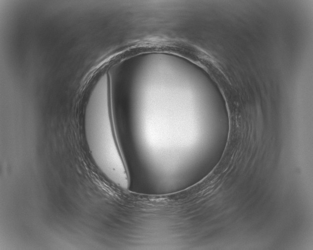X0000057041304200509090806