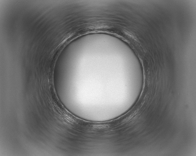 X0000057041305200509090806