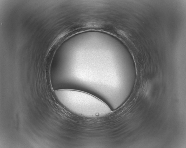 X0000057041307200509090806