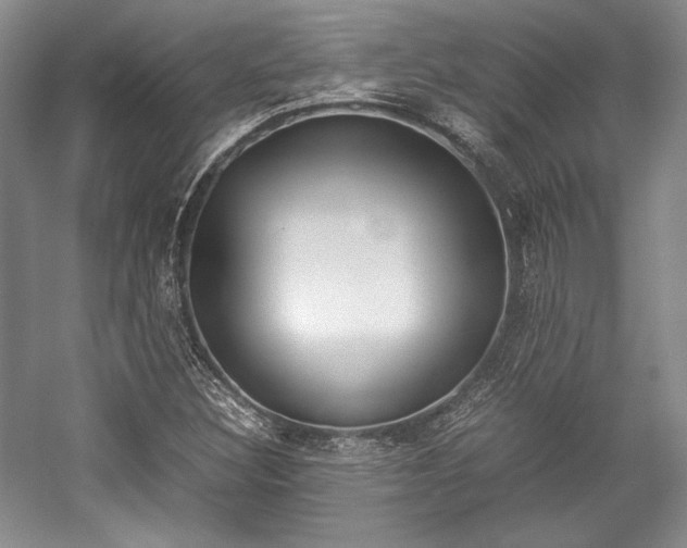X0000057041308200509090806