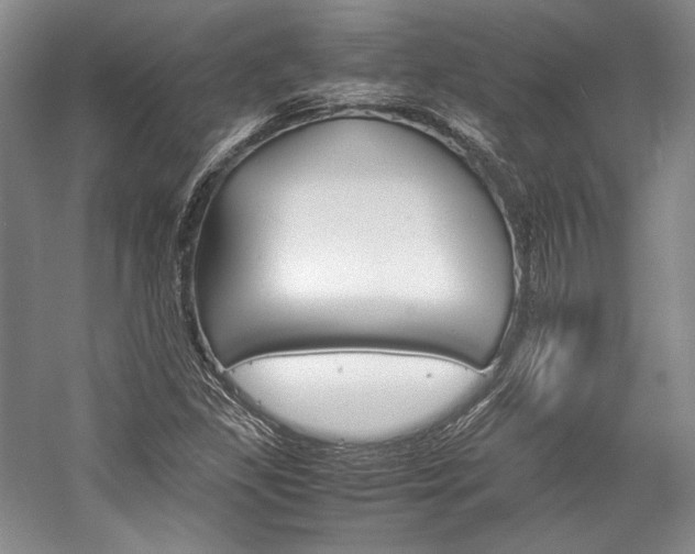 X0000057041309200509090806