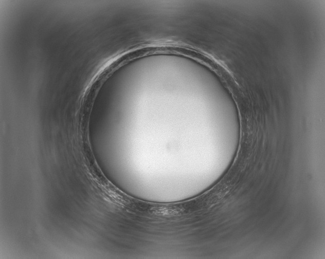 X0000057041311200509090806
