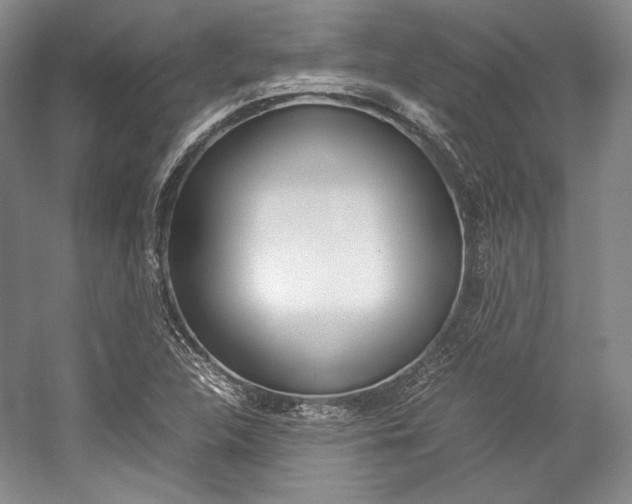 X0000057041312200509090806