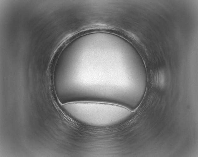 X0000057041318200509090806