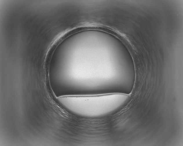 X0000057041319200509090806