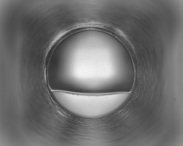X0000057041320200509090806