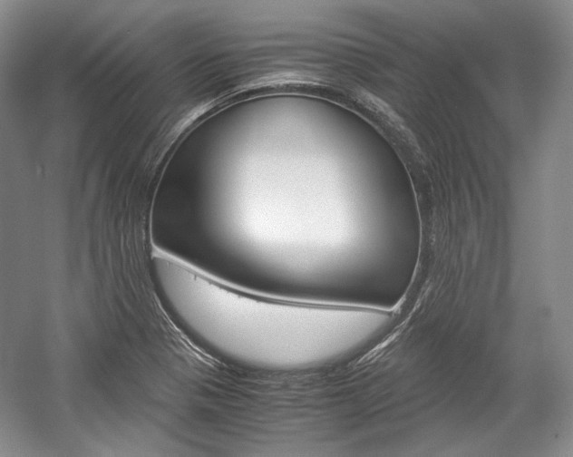 X0000057041321200509090806