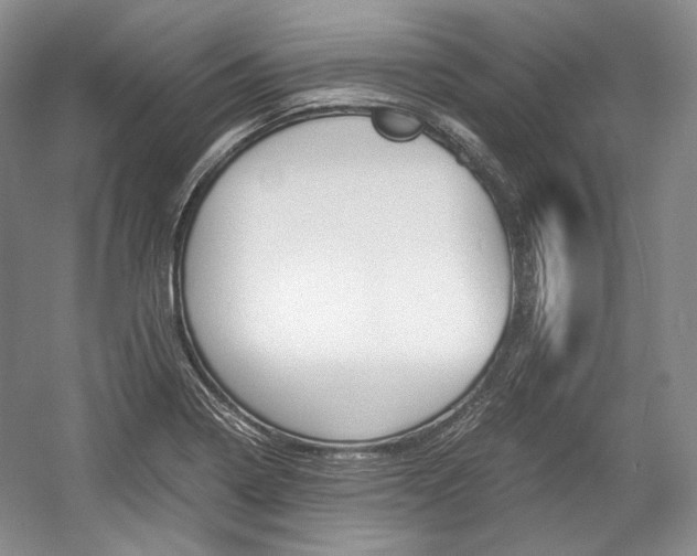 X0000057041322200509090806