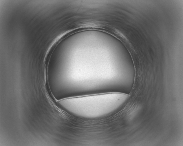 X0000057041323200509090806