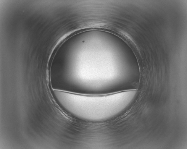 X0000057041324200509090806