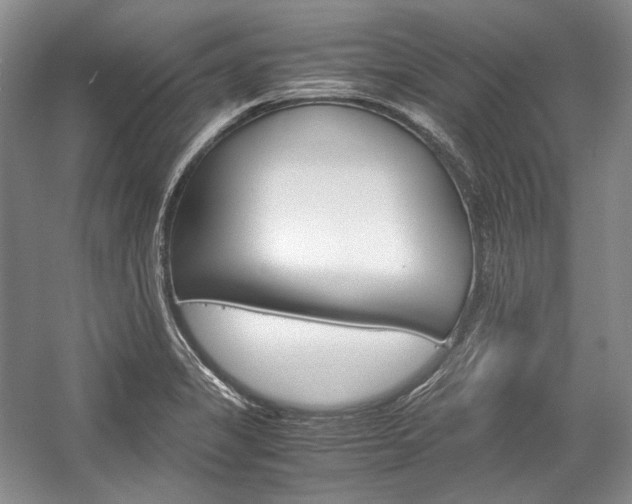 X0000057041325200509090806