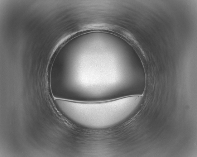 X0000057041328200509090806