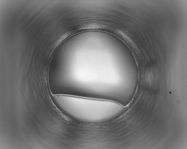 X0000057041329200509090806