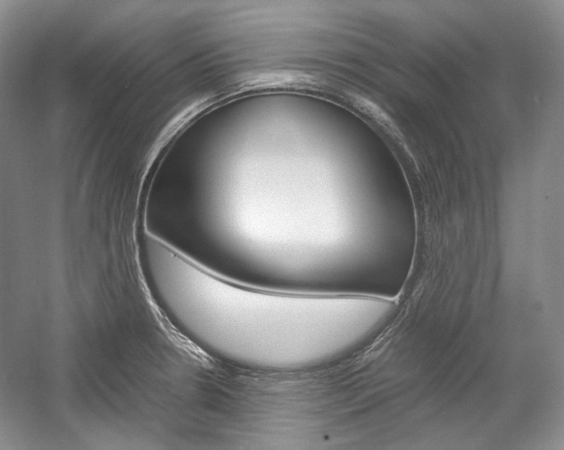 X0000057041330200509090806