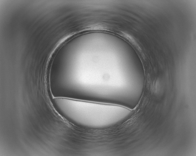 X0000057041331200509090806