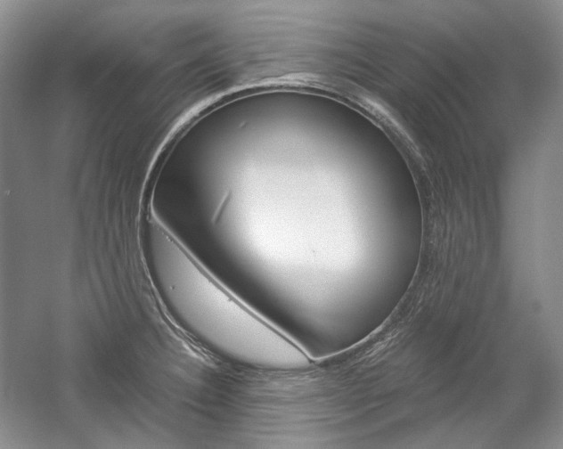 X0000057041332200509090806
