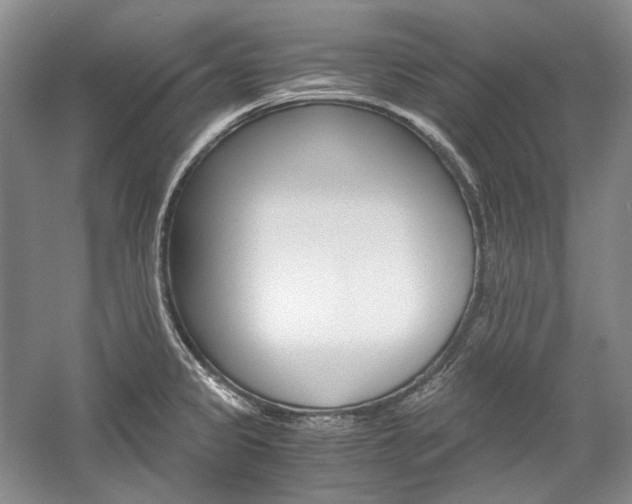 X0000057041333200509090806