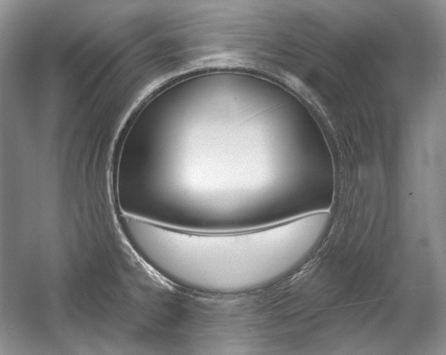 X0000057041334200509090806