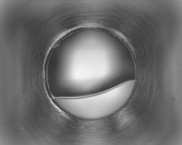 X0000057041335200509090806