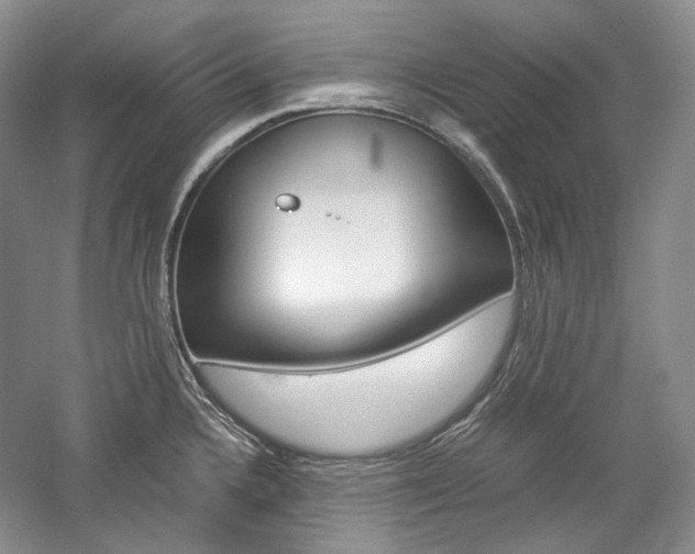 X0000057041336200509090806