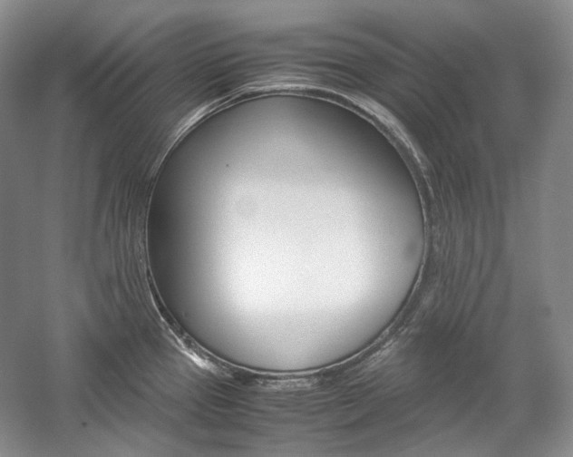 X0000057041337200509090806