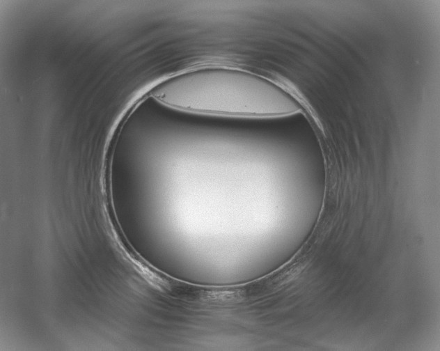 X0000057041339200509090806