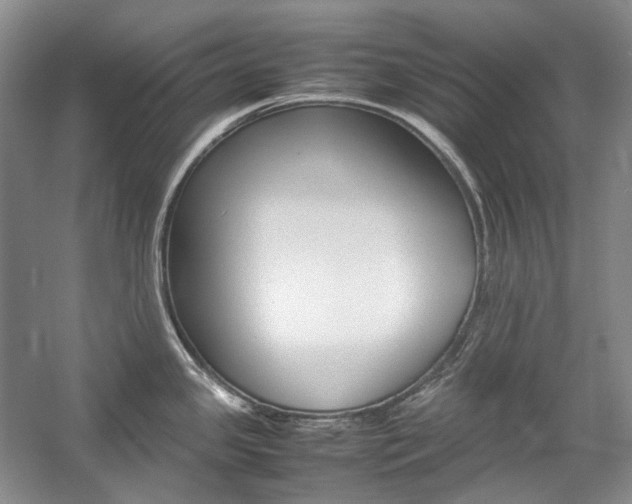 X0000057041341200509090806