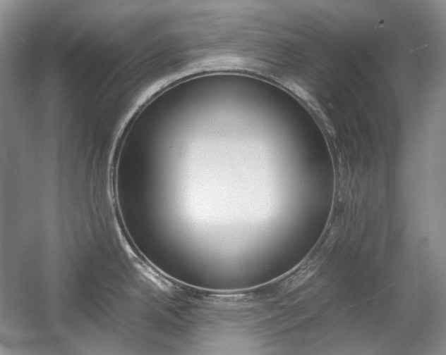 X0000057041342200509090806
