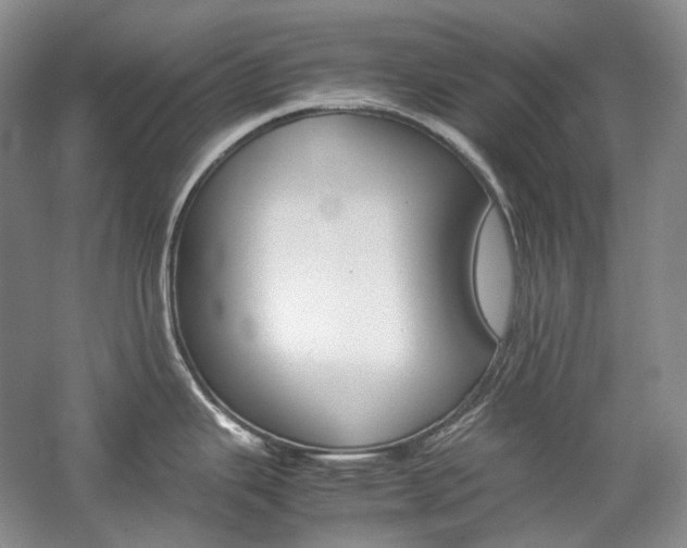 X0000057041343200509090806
