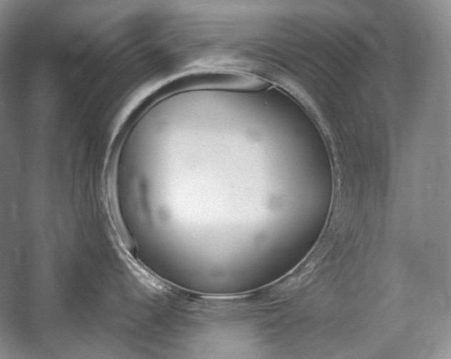 X0000057041344200509090806