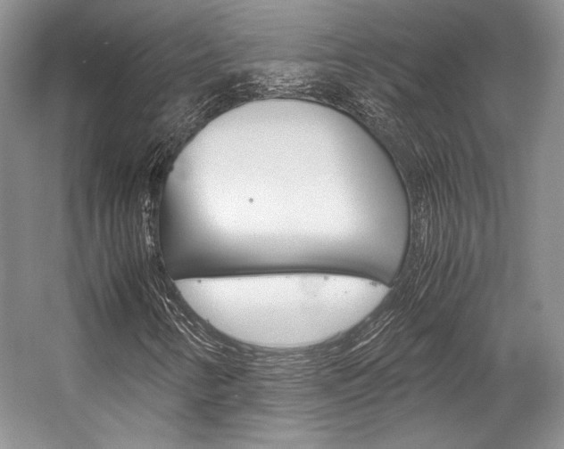 X0000057041346200509090806