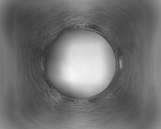 X0000057041347200509090805