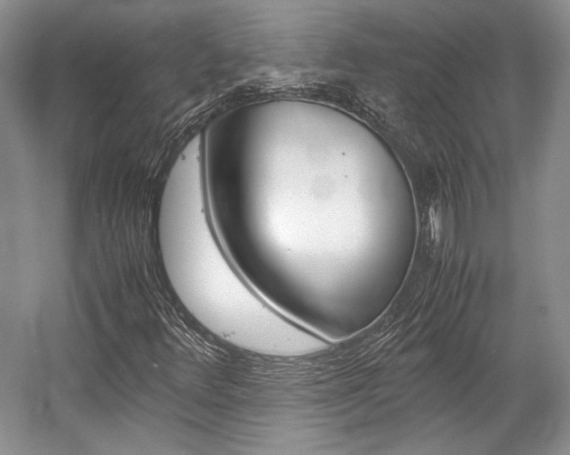 X0000057041348200509090805