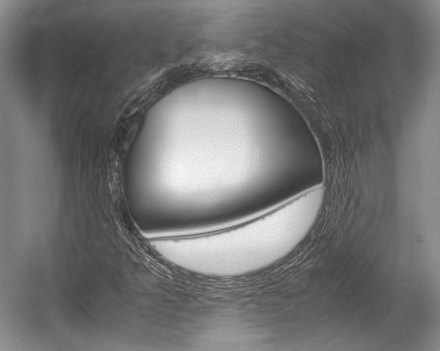 X0000057041349200509090805