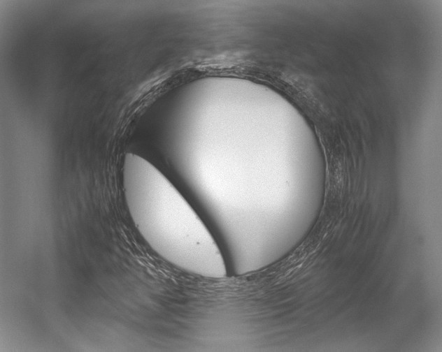 X0000057041350200509090805