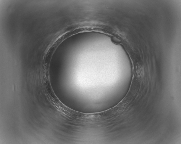 X0000057041352200509090805