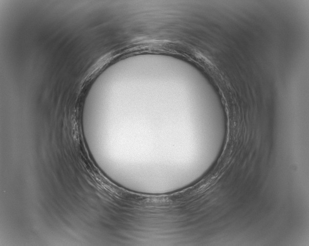 X0000057041354200509090805