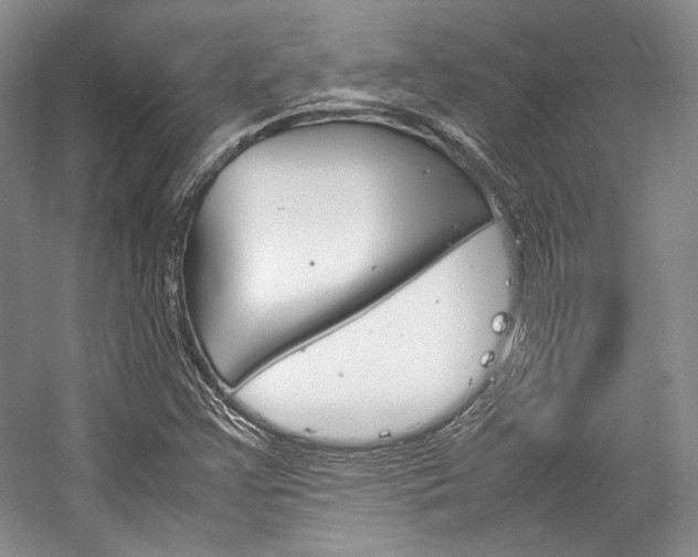 X0000057041355200509090805