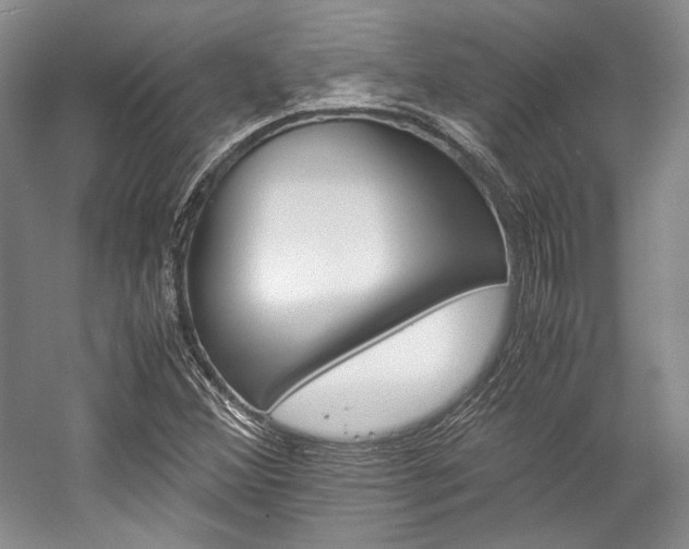 X0000057041356200509090805