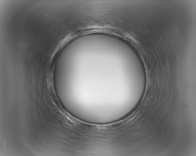 X0000057041357200509090805