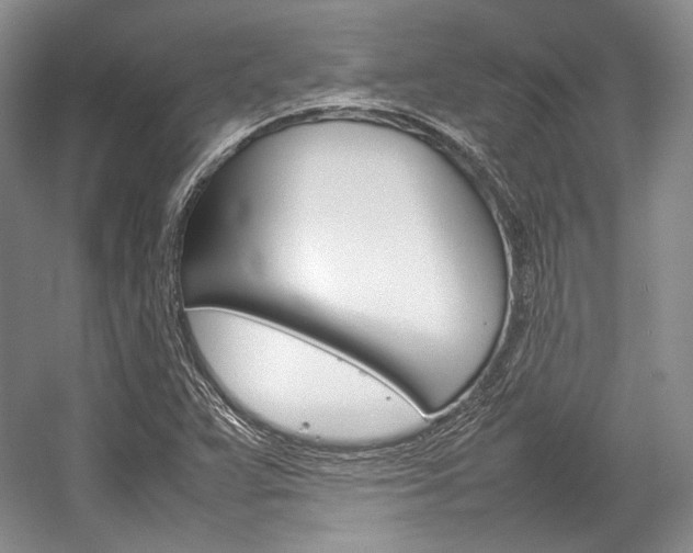 X0000057041359200509090805