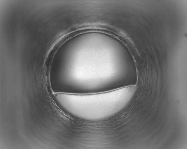 X0000057041360200509090805