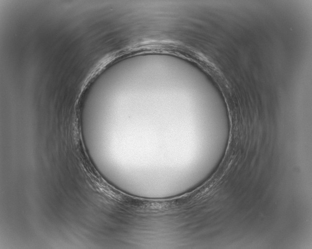 X0000057041362200509090805