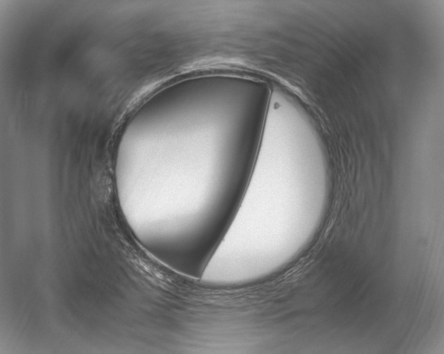 X0000057041363200509090805