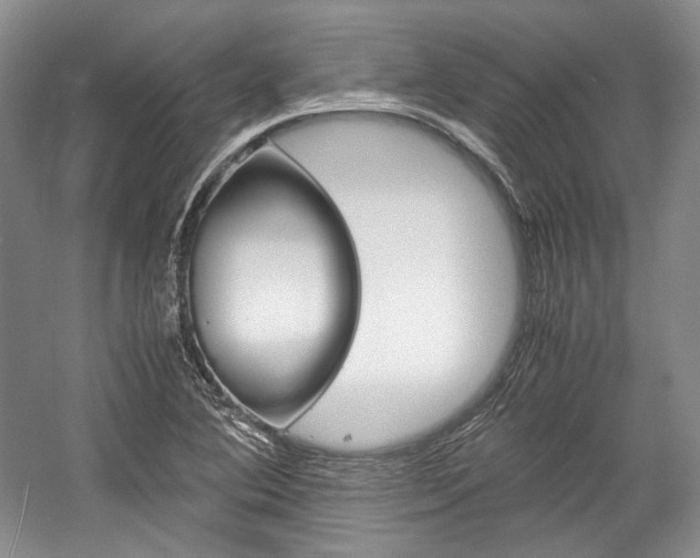 X0000057041364200509090805