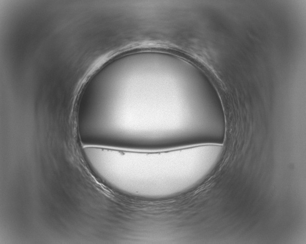 X0000057041367200509090805