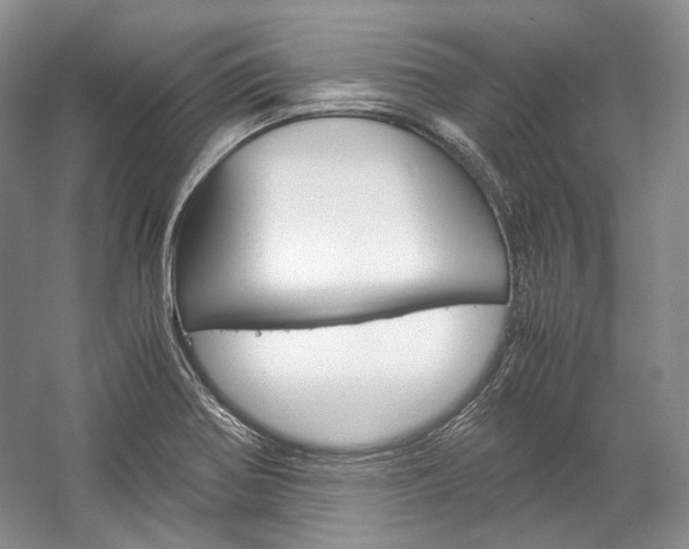 X0000057041370200509090805