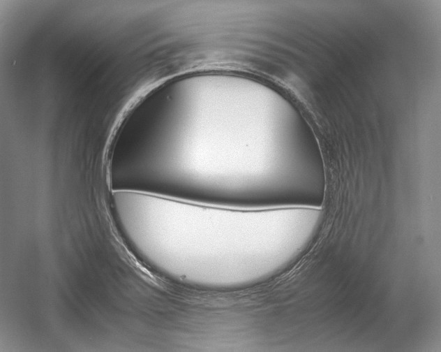 X0000057041371200509090805