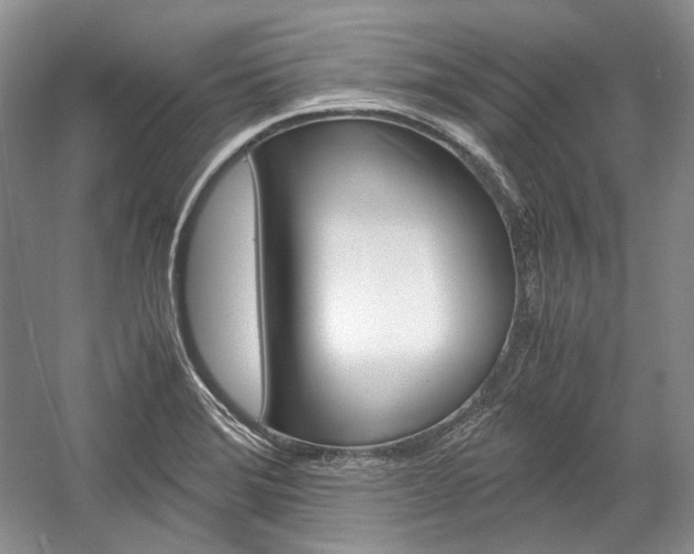X0000057041372200509090805